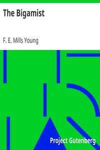 The Bigamist by F. E. Mills Young