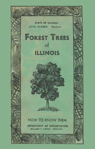 Forest Trees of Illinois: How to Know Them by Fuller, Mattoon, Miller, and Nuuttila