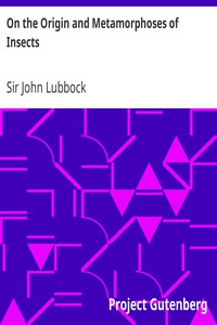 On the Origin and Metamorphoses of Insects by Sir John Lubbock