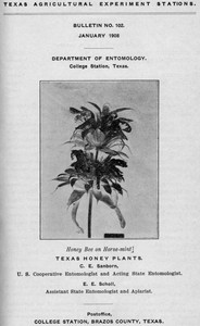 Texas Honey Plants by Charles Emerson Sanborn and Ernest E. Scholl