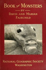 Book of Monsters by David Fairchild and Marian Fairchild