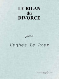 Le Bilan du Divorce by Hugues Le Roux