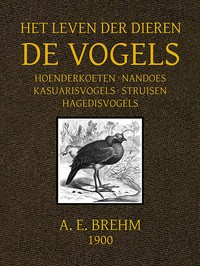 Het Leven der Dieren: Deel 2, Hoofdstuk 11 tot 14: Hoenderkoeten; Nandoes;