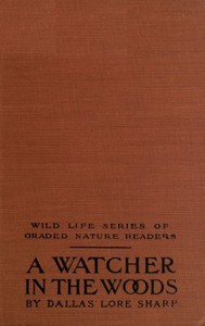 A Watcher in The Woods by Dallas Lore Sharp