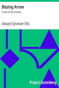 Blazing Arrow: A Tale of the Frontier by Edward Sylvester Ellis