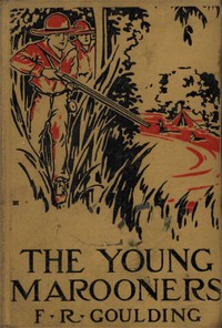 The Young Marooners on the Florida Coast by F. R. Goulding