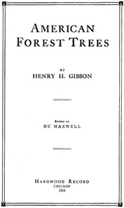 American Forest Trees by Henry H. Gibson