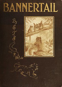 Bannertail: The Story of a Graysquirrel by Ernest Thompson Seton