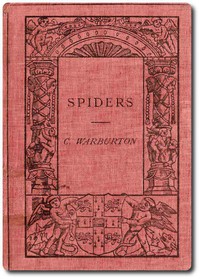 Spiders by Cecil Warburton