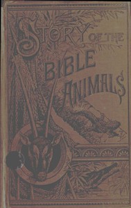 Story of the Bible Animals by J. G. Wood