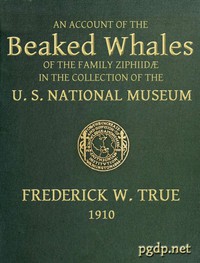 The Beaked Whales of the Family Ziphiidae by Frederick W. True