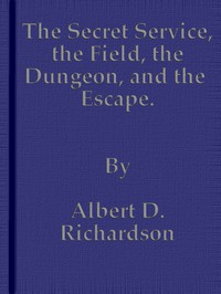 The Secret Service, the Field, the Dungeon, and the Escape by Albert D. Richardson