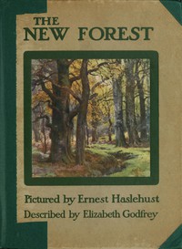 The New Forest by Elizabeth Godfrey