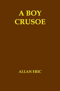 A Boy Crusoe; or, The Golden Treasure of the Virgin Islands by Allan Eric