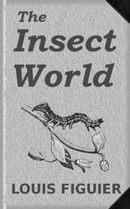 The Insect World by Louis Figuier