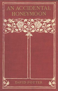 An Accidental Honeymoon by Edward Barron
