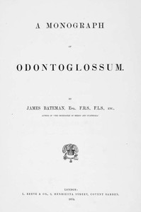 A Monograph of Odontoglossum by Jas. Bateman