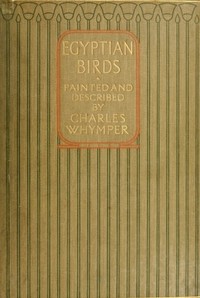 Egyptian Birds by Charles Whymper