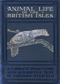 Animal Life of the British Isles by Edward Step