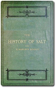 The History of Salt by Evan Marlett Boddy