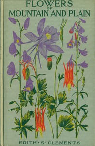 Flowers of Mountain and Plain by Edith S. Clements