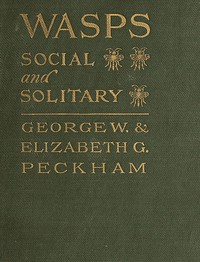 Wasps, Social and Solitary by E. G. Peckham and George W. Peckham