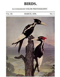 Birds and All Nature, Vol. 3, No. 3, March 1898 by Various