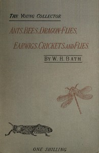 The Young Collector's Handbook of Ants, Bees, Dragon-flies, Earwigs, Crickets,
