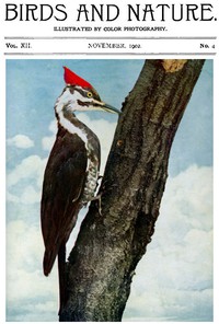 Birds and Nature, Vol. 12 No. 4 [September 1902] by Various