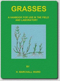 Grasses: A Handbook for use in the Field and Laboratory by H. Marshall Ward