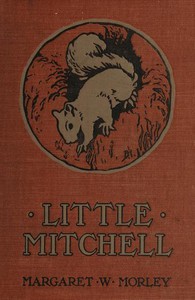 Little Mitchell: The Story of a Mountain Squirrel by Margaret Warner Morley