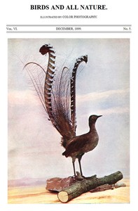 Birds and All Nature, Vol. 6, No. 5, December 1899 by Various