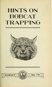 Hints on Bobcat Trapping by Stanley Paul Young