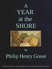 A Year at the Shore by Philip Henry Gosse