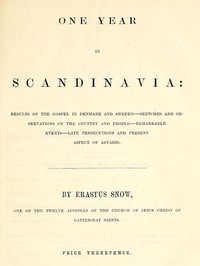 One Year in Scandinavia by Erastus Fairbanks Snow