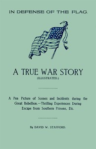 In Defense of the Flag: A true war story by David W. Stafford