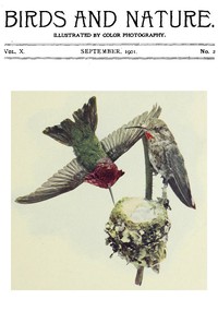 Birds and Nature, Vol 10 No. 2 [September 1901] by Various