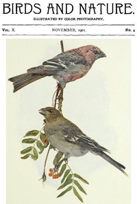 Birds and Nature, Vol. 10 No. 4 [November 1901] by Various