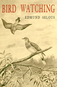 Bird Watching by Edmund Selous