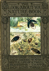 The 'Look About You' Nature Study Books, Book 4 [of 7] by Thomas W. Hoare