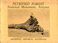 Petrified Forest National Monument, Arizona by Dama Margaret Smith