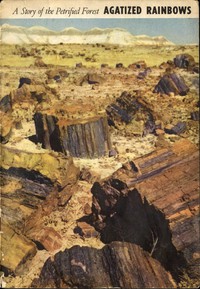 Agatized Rainbows: A Story of the Petrified Forest by Harold J. Brodrick