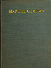 Bird Life Glimpses by Edmund Selous