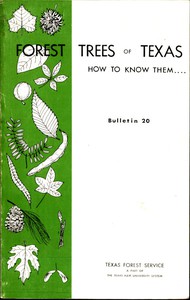 Forest Trees of Texas: How to Know Them by Wilbur R. Mattoon and C. B. Webster