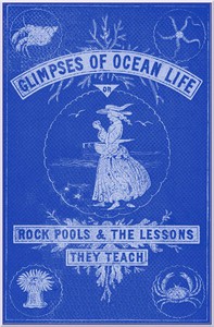 Glimpses of Ocean Life; Or, Rock-Pools and the Lessons they Teach by John Harper