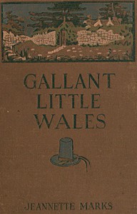 Gallant Little Wales: Sketches of its people, places and customs by Marks