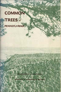 Common Trees of Pennsylvania by Aughenbaugh, Ibberson, Mickalitis, and Morris