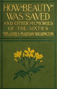 How Beauty Was Saved, and Other Memories of the Sixties by Washington