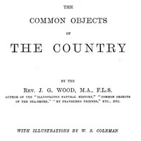 The Common Objects of the Country by J. G. Wood