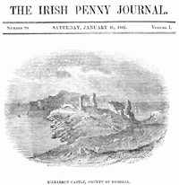 The Irish Penny Journal, Vol. 1 No. 29, January 16, 1841 by Various